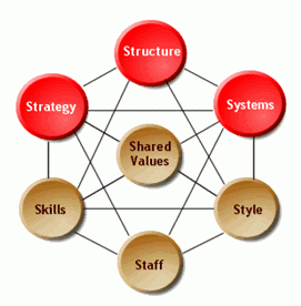 software development life-cycle
